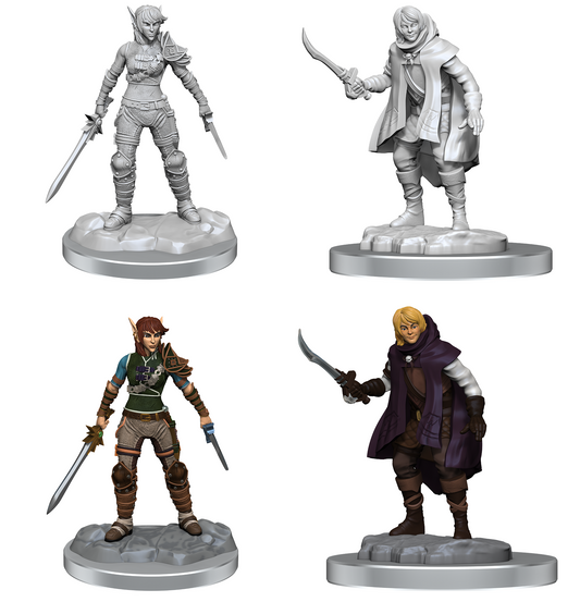 D&D - Elf Rogue & Half-Elf Rogue Protege