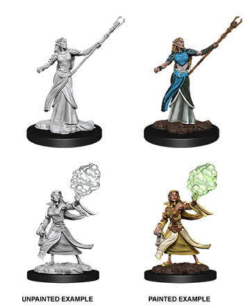 D&D - Elf Sorcerer