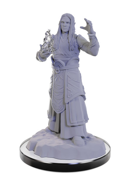 D&D - Elf Wizard (Female)