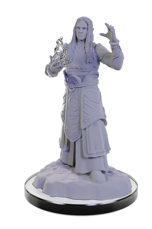 D&D - Elf Wizard (Female)