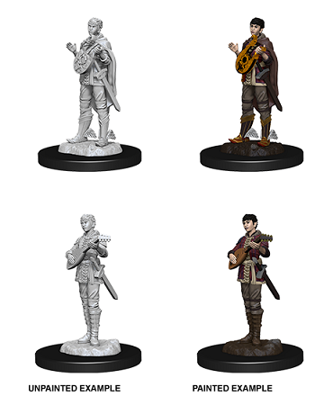 D&D - Half-Elf Bard