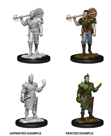 D&D - Half-Elf Bard