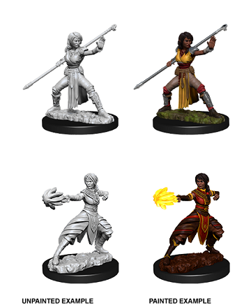 D&D - Half-Elf Monk (Female)