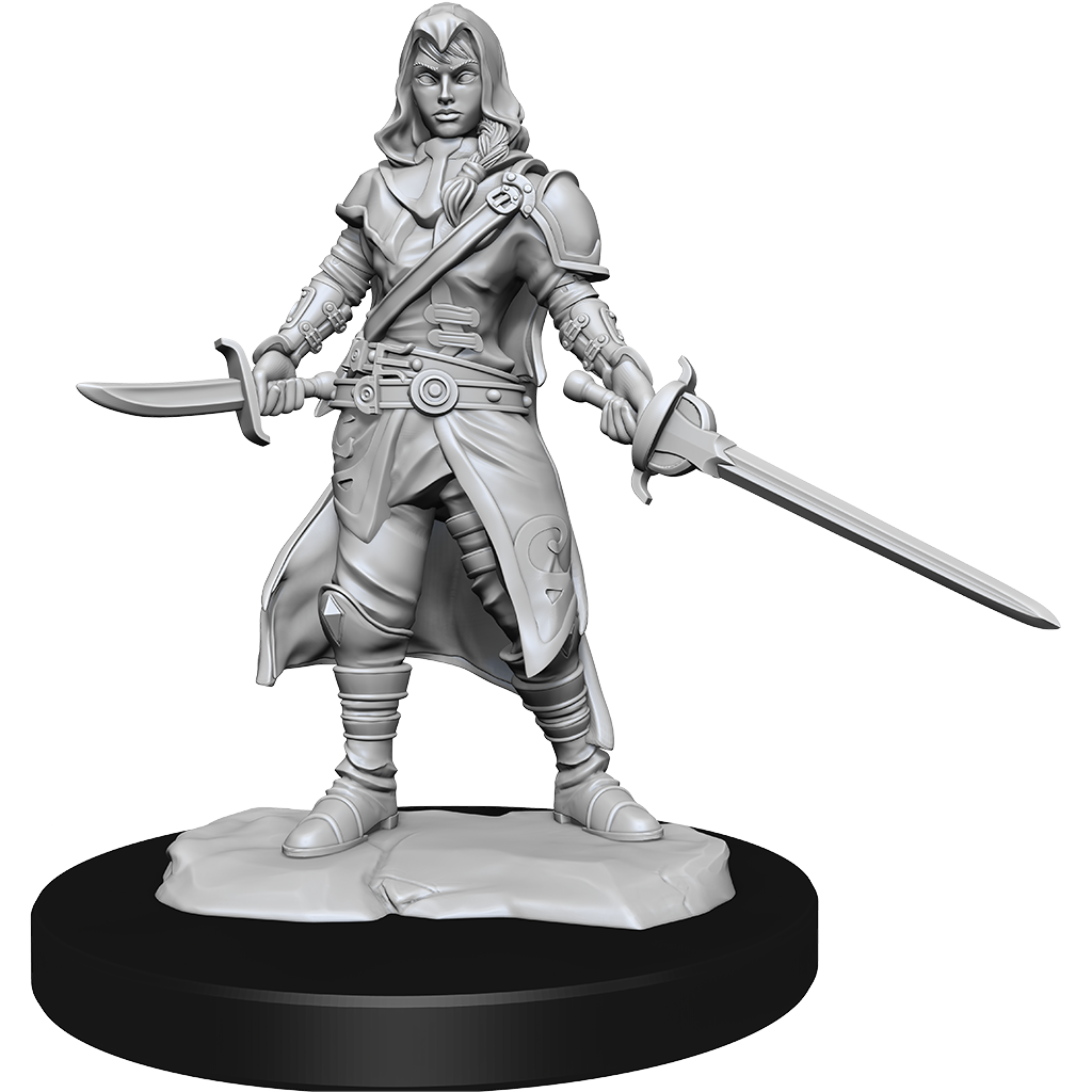 D&D - Half-Elf Rogue (Female)