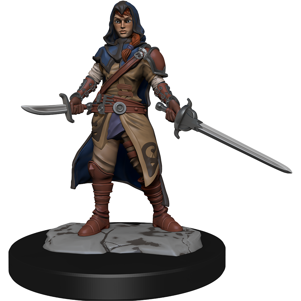 D&D - Half-Elf Rogue (Female)