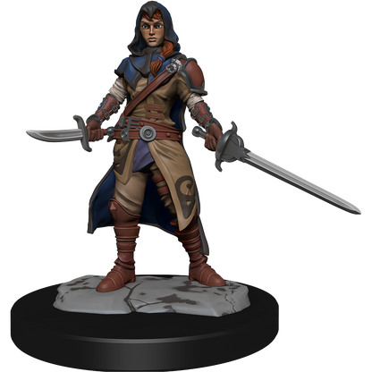 D&D - Half-Elf Rogue (Female)