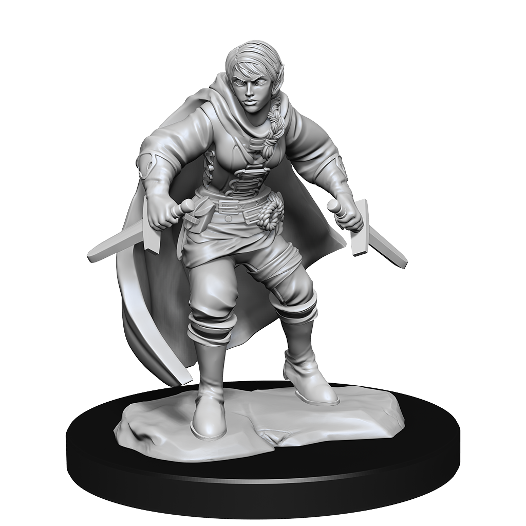 D&D - Half-Elf Rogue (Female)