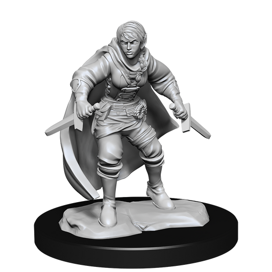D&D - Half-Elf Rogue (Female)