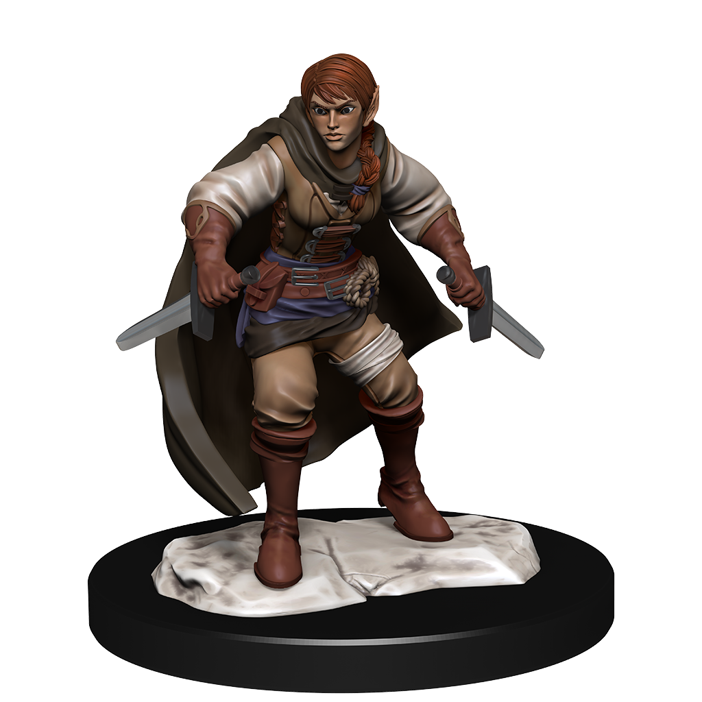 D&D - Half-Elf Rogue (Female)