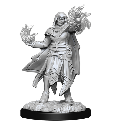 D&D - Hobgoblin Fighter & Hobgoblin Wizard