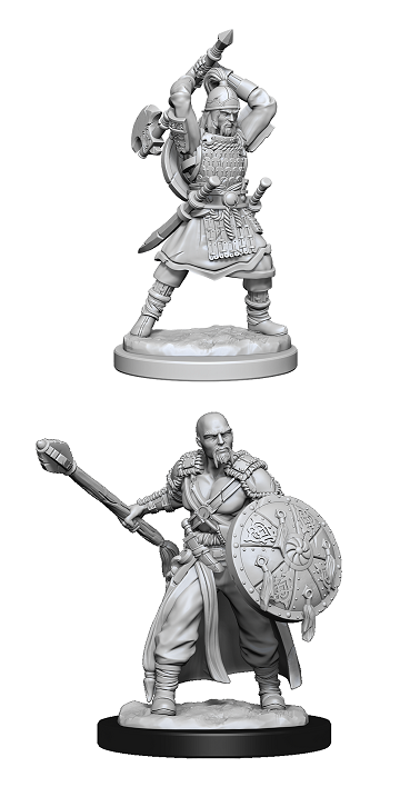 D&D - Human Barbarian (Male)