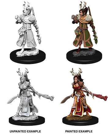 D&D - Human Druid (Female)