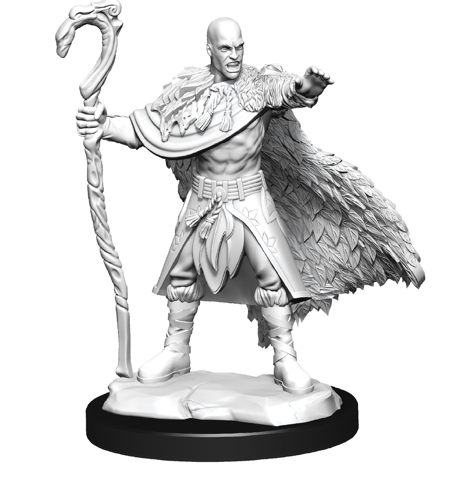 D&D - Human Druid (Male)
