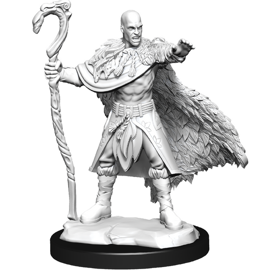 D&D - Human Druid (Male)