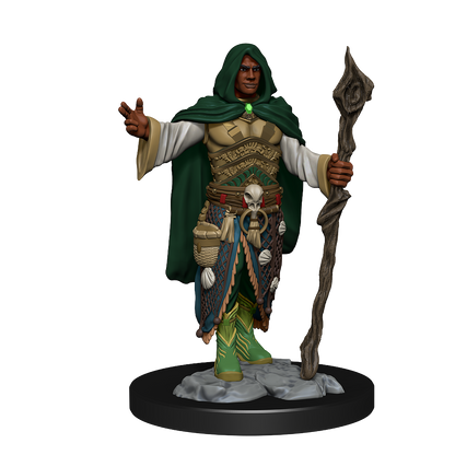 D&D - Human Druid (Male)