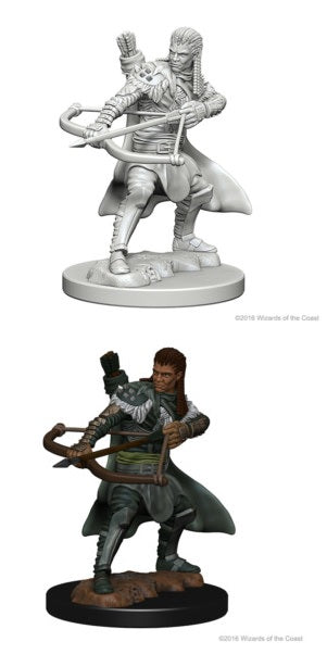 D&D - Human Ranger