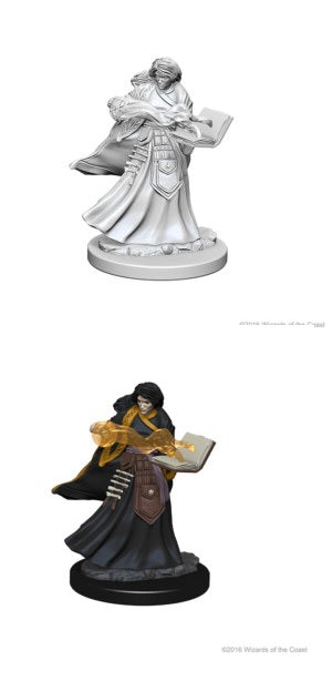 D&D - Human Wizard (Female)