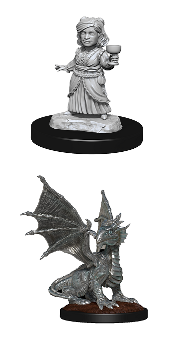 D&D - Silver Dragon Wyrmling & Halfling Dragon Friend