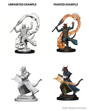 D&D - Tiefling Socerer (Male)