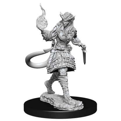D&D - Tiefling Sorcerer (Female)