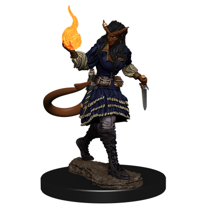 D&D - Tiefling Sorcerer (Female)