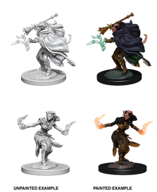 D&D - Tielfing Warlock (Female)