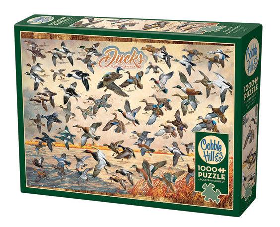 Ducks Of North America - 1000 Pieces