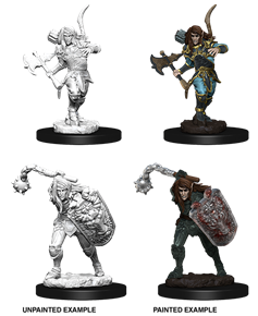 Pathfinder - Elf Fighter (Male)