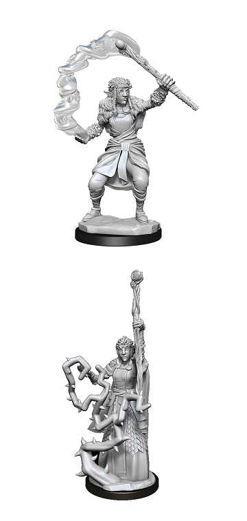 D&D - Firbolg Druid (Female)