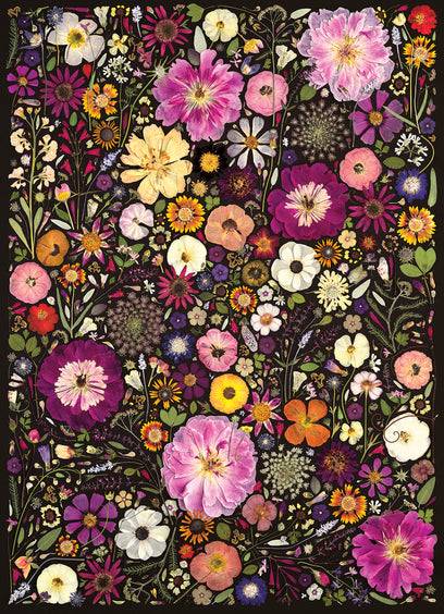 Flower Press: Little Hollow & Red Daisy - 500 Pieces