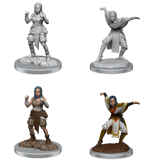 Wizkids - Half-Elf Monk (Female)
