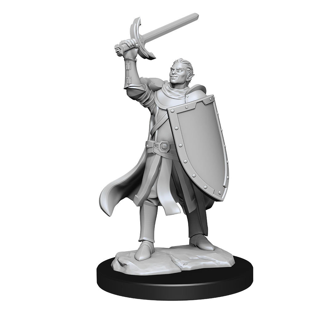 Wizkids - Half-Elf Paladin