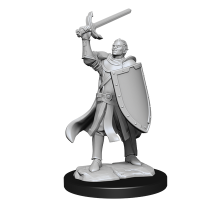 Wizkids - Half-Elf Paladin