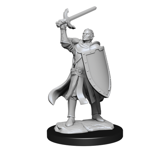 Wizkids - Half-Elf Paladin