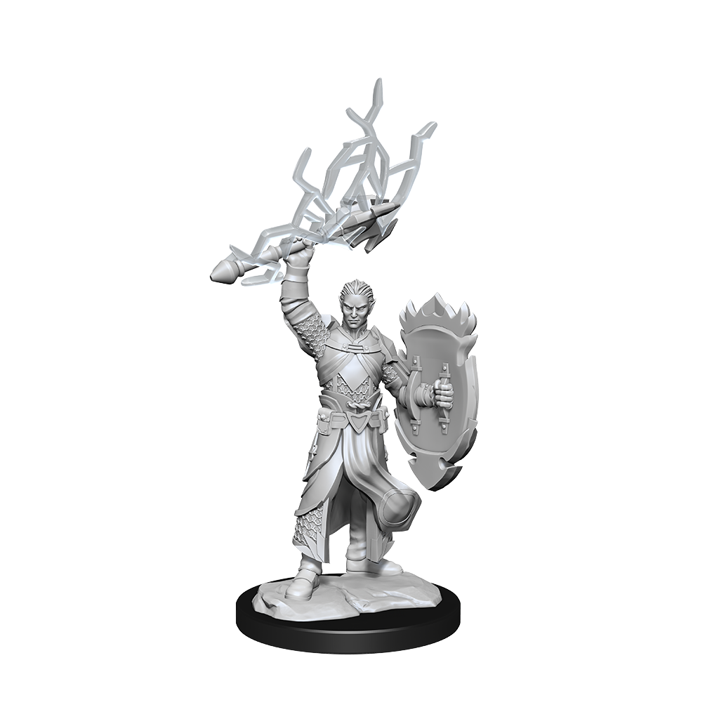 Wizkids - Half-Elf Paladin