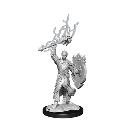 Wizkids - Half-Elf Paladin