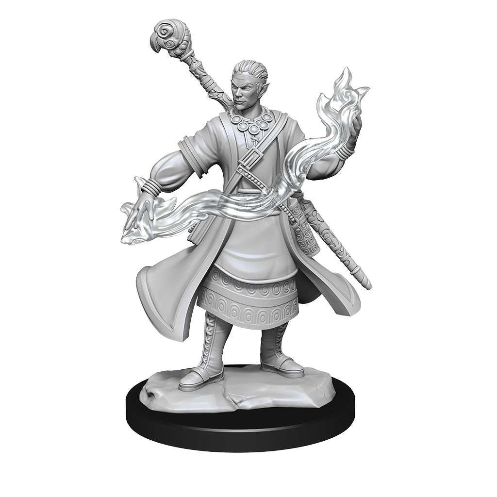 Wizkids - Half-Elf Wizard (Male)