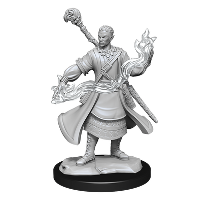 Wizkids - Half-Elf Wizard (Male)