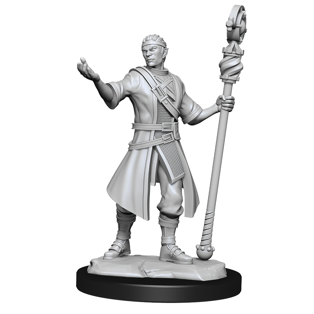 Wizkids - Half-Elf Wizard (Male)