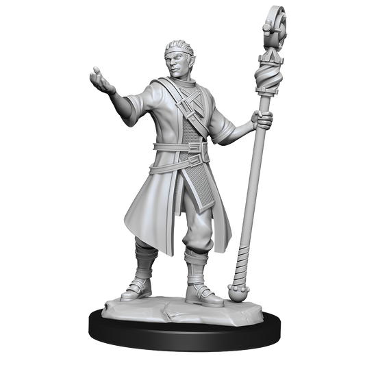 Wizkids - Half-Elf Wizard (Male)