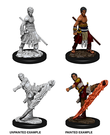 Wizkids - Half-Elf Monk (Male)
