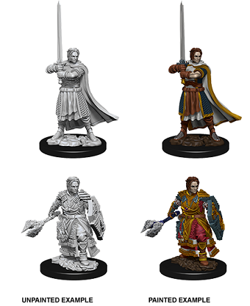 Wizkids - Human Cleric (Male)