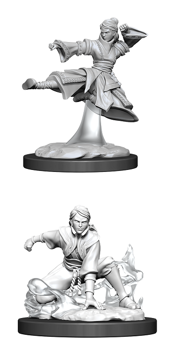 Wizkids - Human Monk