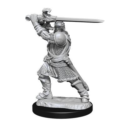 Wizkids - Human Paladin (Male)