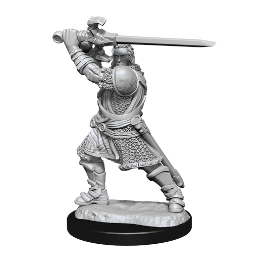 Wizkids - Human Paladin (Male)