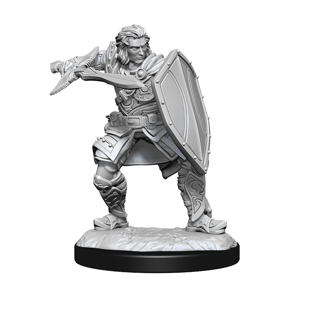 Wizkids - Human Paladin (Male)