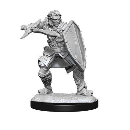 Wizkids - Human Paladin (Male)
