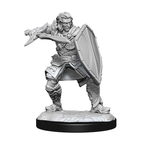 Wizkids - Human Paladin (Male)