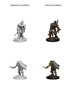 Wizkids - Human Paladin (Male)