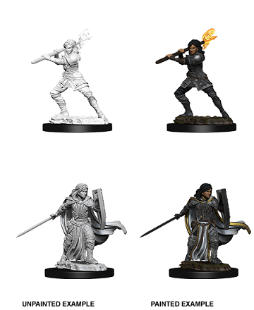 Wizkids - Human Paladin (Female)
